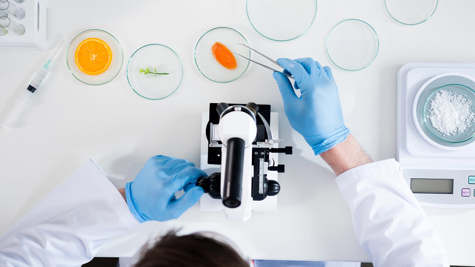 Día de seguridad alimentaria